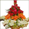 Love Passion - Click here to View more details about this Product
